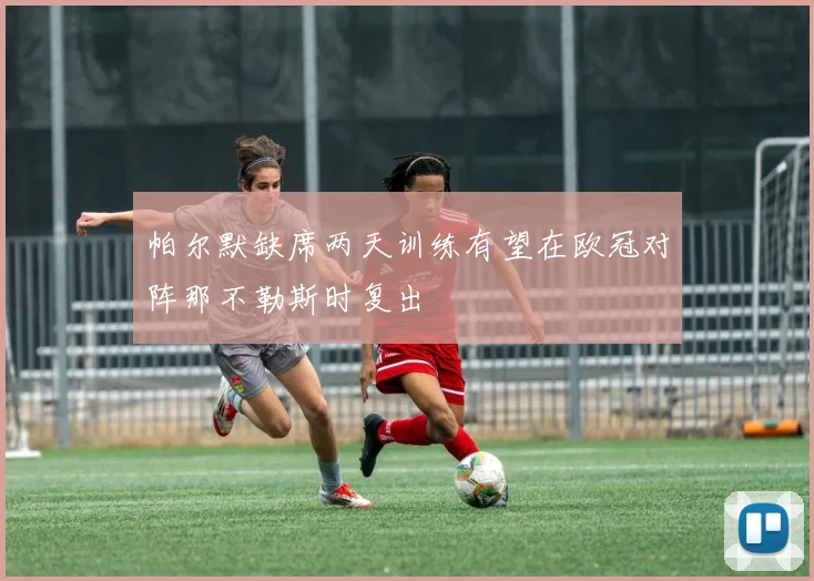 帕尔默缺席两天训练有望在欧冠对阵那不勒斯时复出