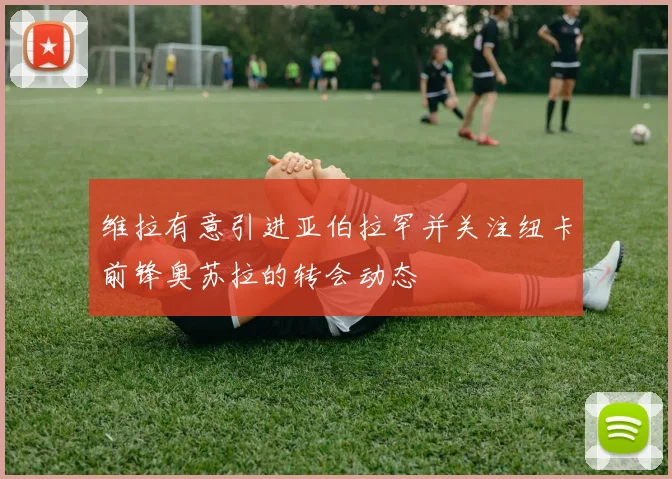 维拉有意引进亚伯拉罕并关注纽卡前锋奥苏拉的转会动态